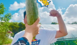 最新网红爆料吃瓜,娱乐圈最新吃瓜大事件，揭秘明星幕后真相！